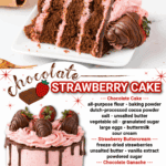 chocolate strawberry cake facebook collage