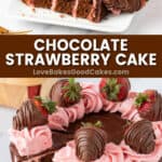 chocolate strawberry cake pin collage