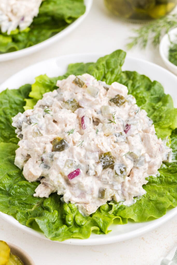 Chicken salad served on a bed of lettuce on a white plate.