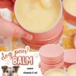 dog paw balm facebook collage