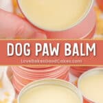 dog paw balm pin collage