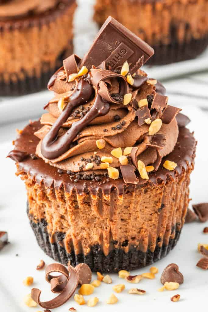 Close-up of a mini chocolate cheesecake topped with ganache, chocolate curls, and crushed peanuts