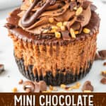mini chocolate cheesecakes pin collage