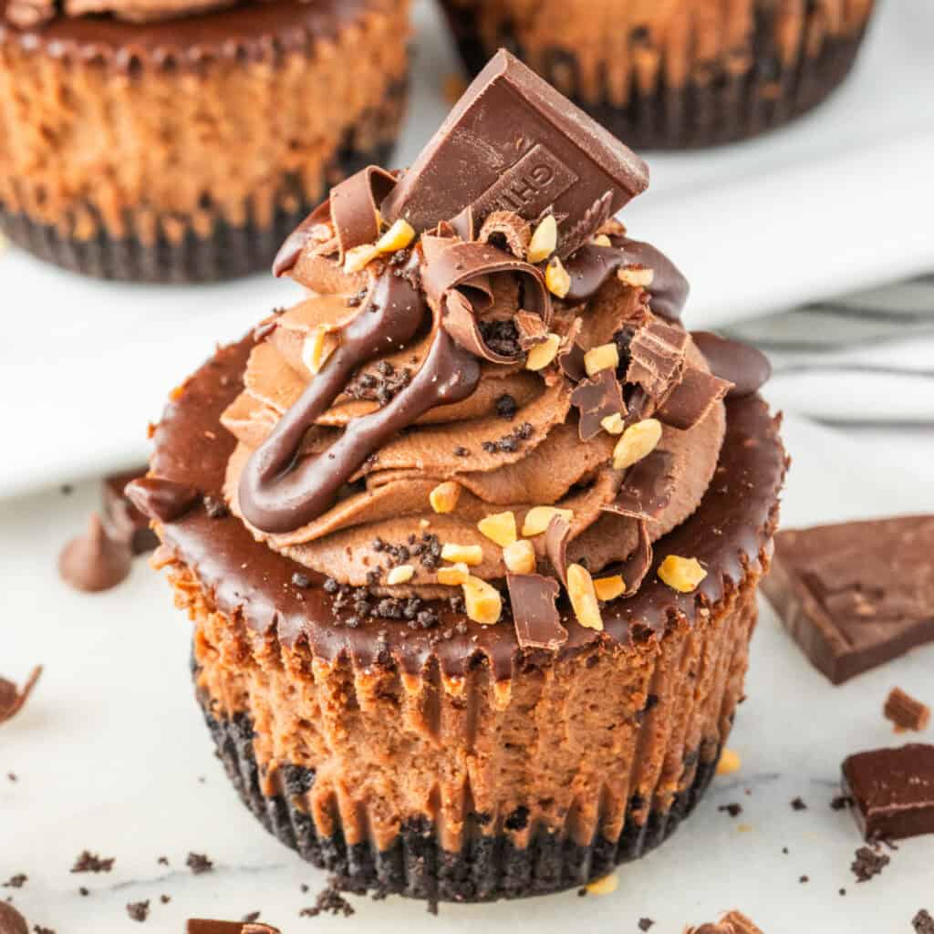 Decorated mini chocolate cheesecake with chocolate bar piece, curls, and ganache drizzle