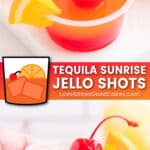 tequila sunrise jello shots pin collage