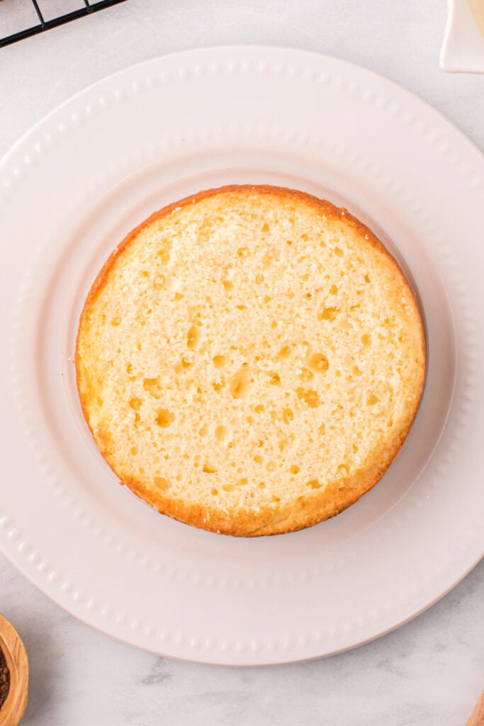 Single cake layer placed on a plate, ready for assembly.