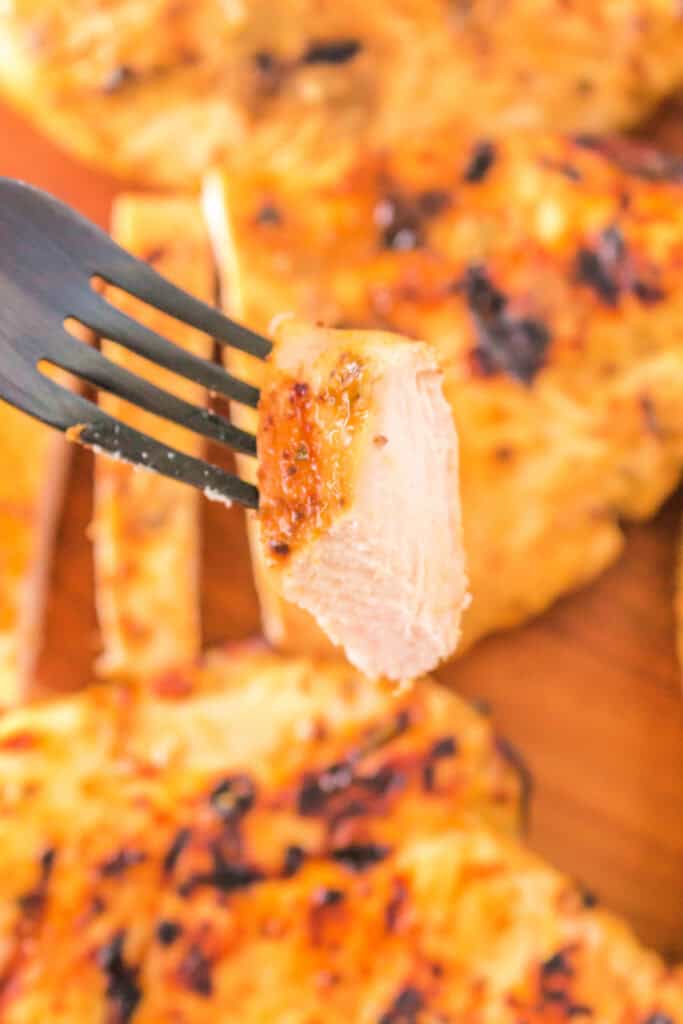 Fork holding a bite of grilled honey mustard chicken