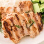 Square crop of grilled tahini chicken with visible grill marks and fresh dill garnish.