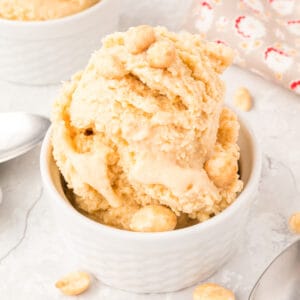 Square image of peanut butter ice cream in a white ramekin, garnished with peanuts and ready to serve.