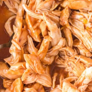Square close-up image of saucy smoked pulled chicken.