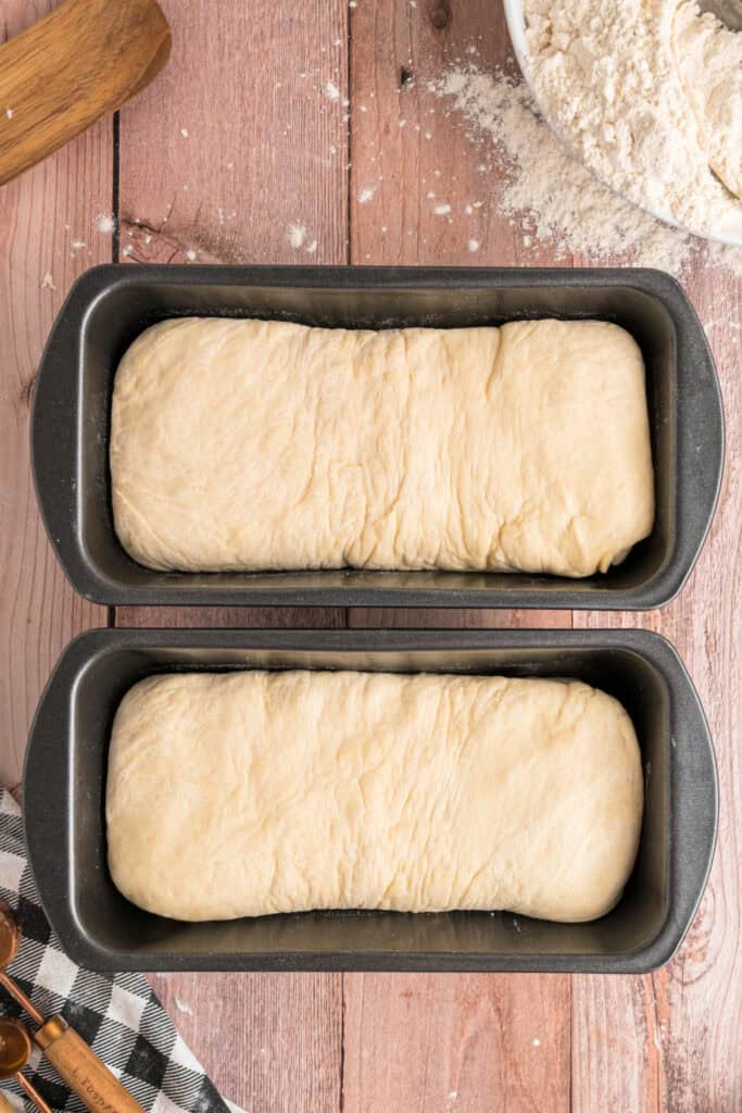 Shaped dough loaves resting in greased loaf pans before the second rise.