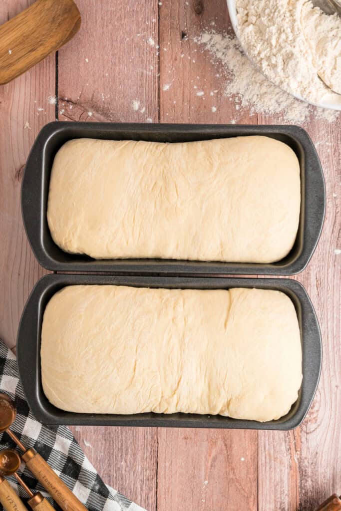 Loaves of dough after the second rise, now puffed up and filling the pans.