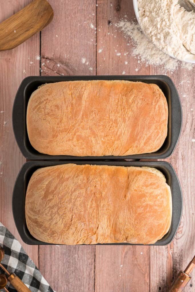 Freshly baked loaves of Amish white bread in the pans, golden brown and fully risen.