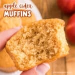 apple cider muffins facebook square