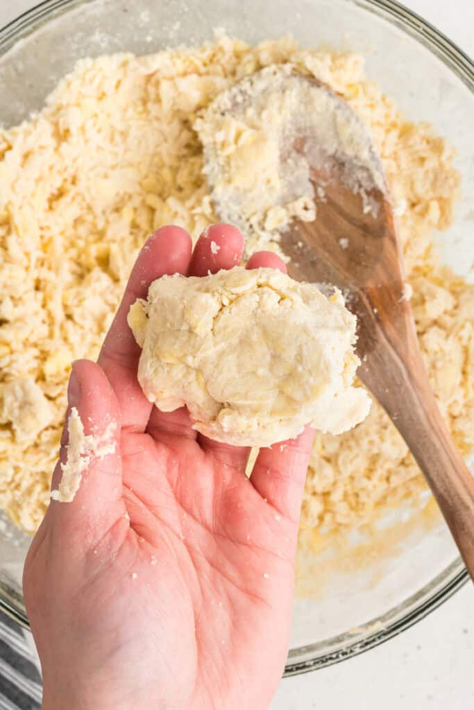 Hand holding a portion of butter pie crust dough showing proper texture