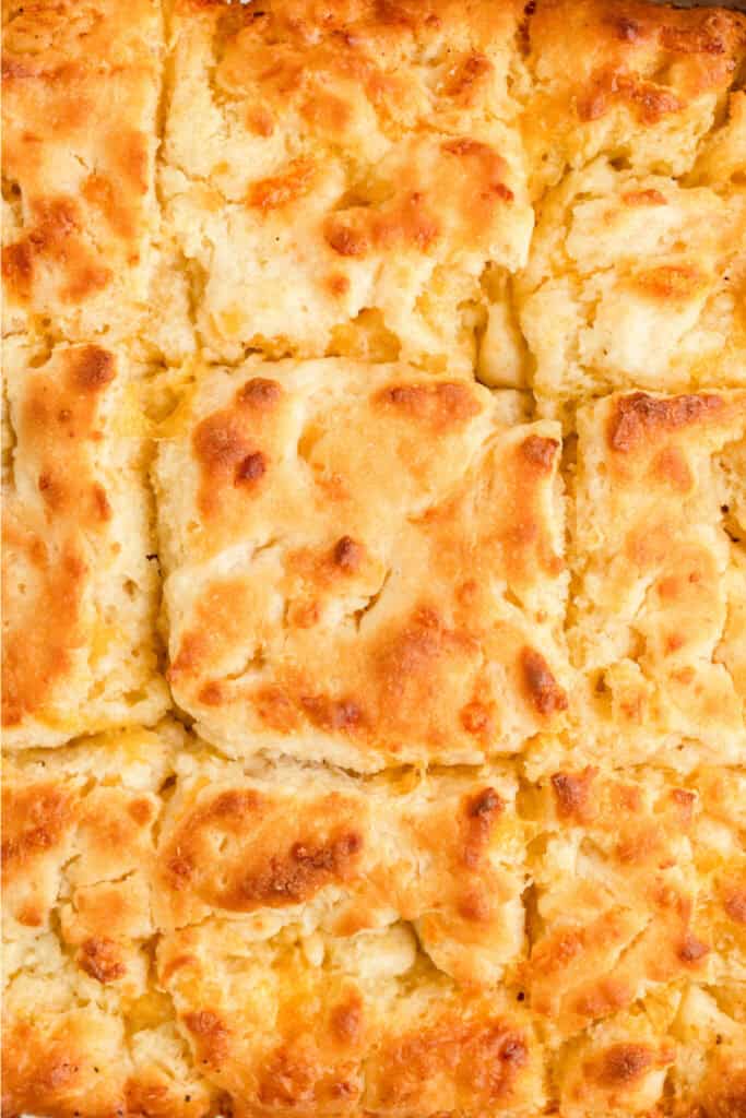Close-up of baked Cheddar Butter Swim Biscuits showing golden tops and soft, fluffy texture.