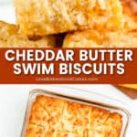 cheddar butter swim biscuits pin collage