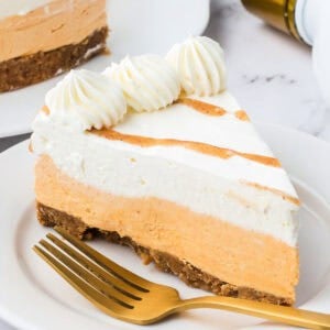 Square cropped view of a plated slice of no bake RumChata pumpkin cheesecake with whipped cream swirls and cinnamon drizzle.