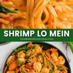 shrimp lo mein pin collage