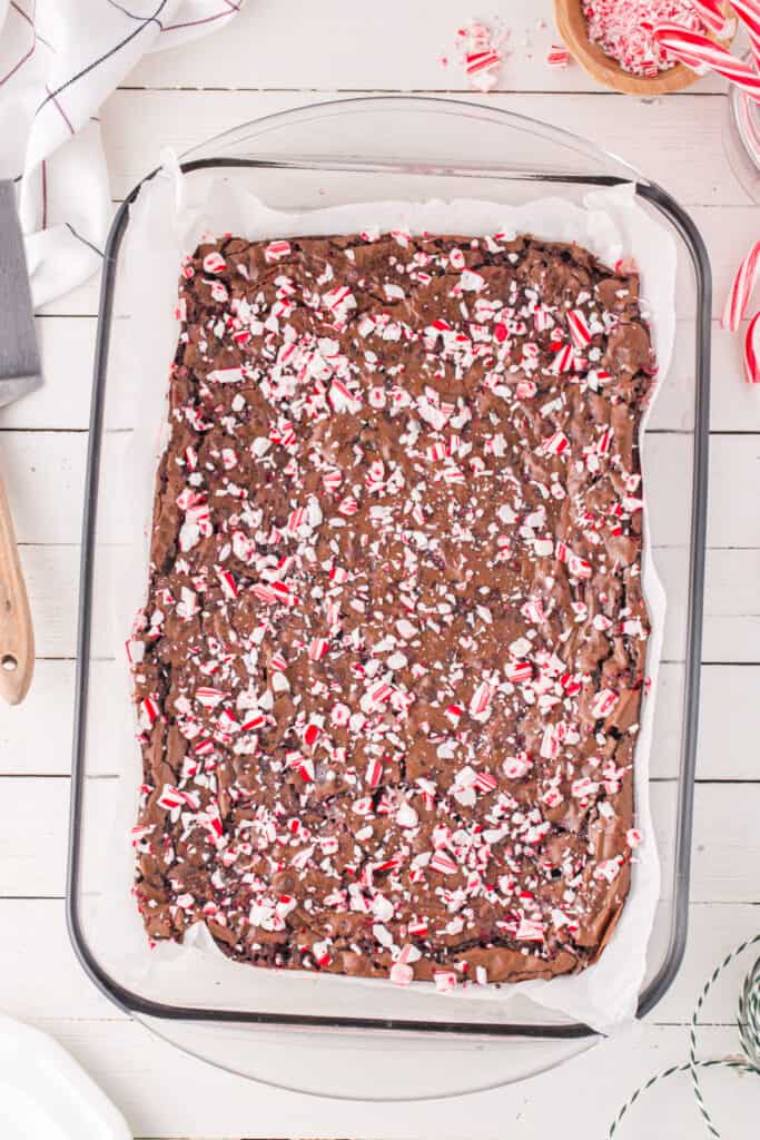 Freshly baked Candy Cane Brownies in a glass baking dish, topped with melted and crunchy peppermint pieces.