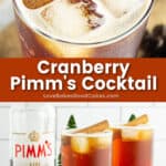 cranberry pimm's cocktail pin collage