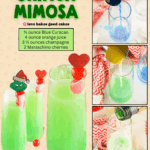 grinch mimosa facebook collage