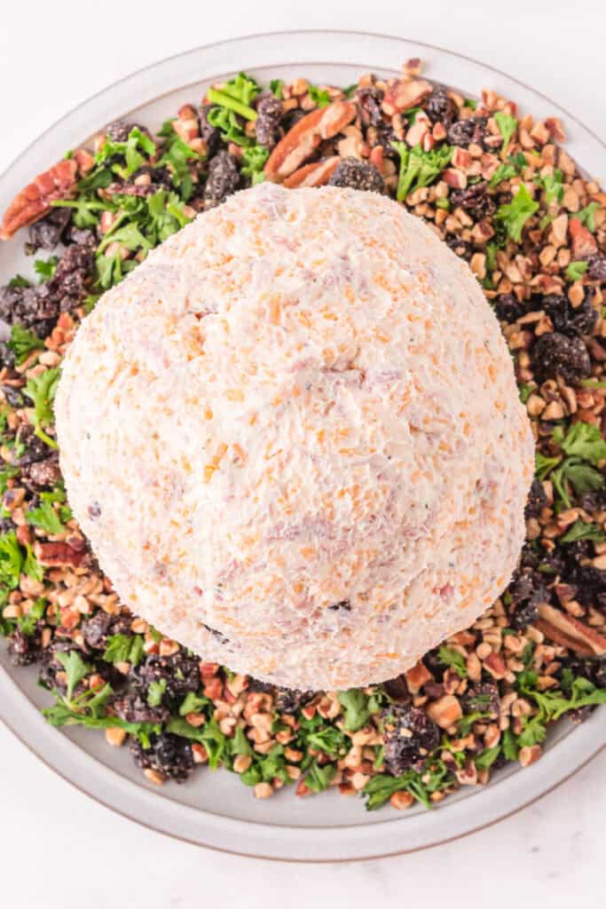 Formed cheese ball on a plate surrounded by chopped pecans, parsley, and dried cherries before rolling.