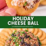 holiday cheese ball pin collage