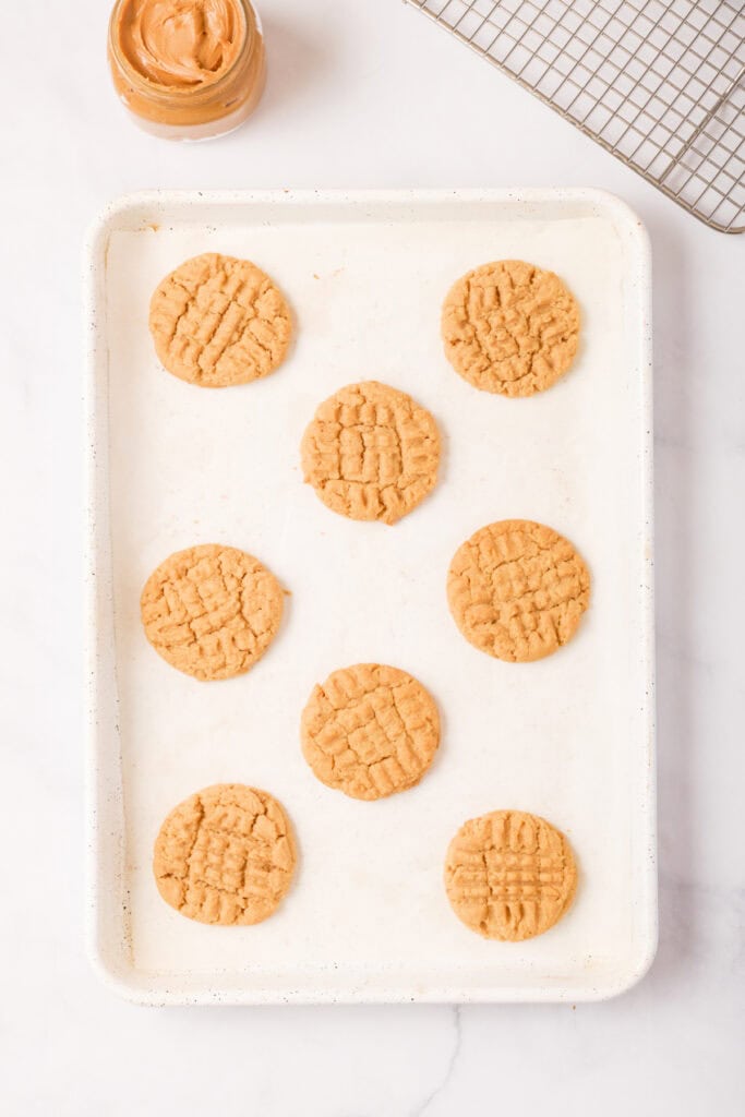 Freshly baked peanut butter cookies on a baking sheet, golden brown with crisscross tops, cooling beside a jar of peanut butter.