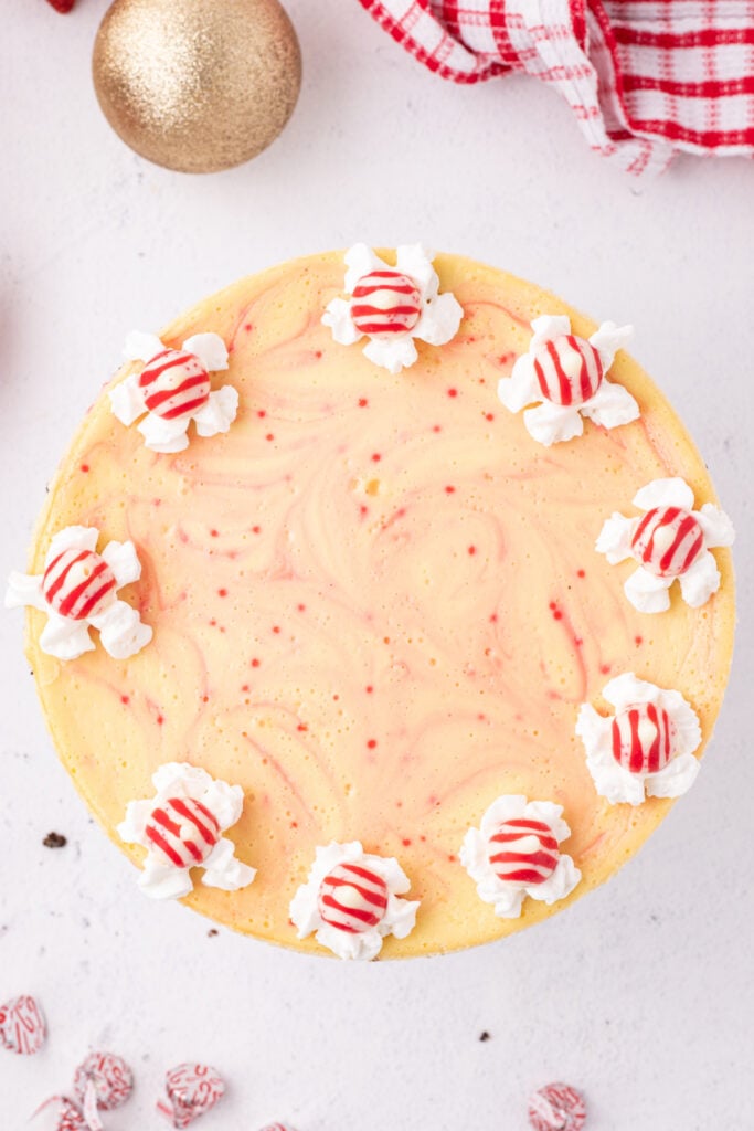 Baked peppermint eggnog cheesecake garnished around the edge with whipped cream and peppermint Kisses.