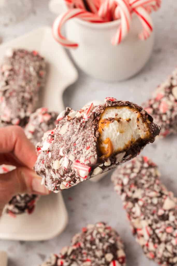 A close up of a peppermint coated marshmallow wand showing a bite taken out, revealing the caramel and marshmallow center.