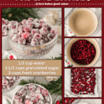 sugared cranberries facebook collage