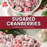 sugared cranberries pin collage
