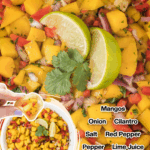 mango salsa facebook collage 2