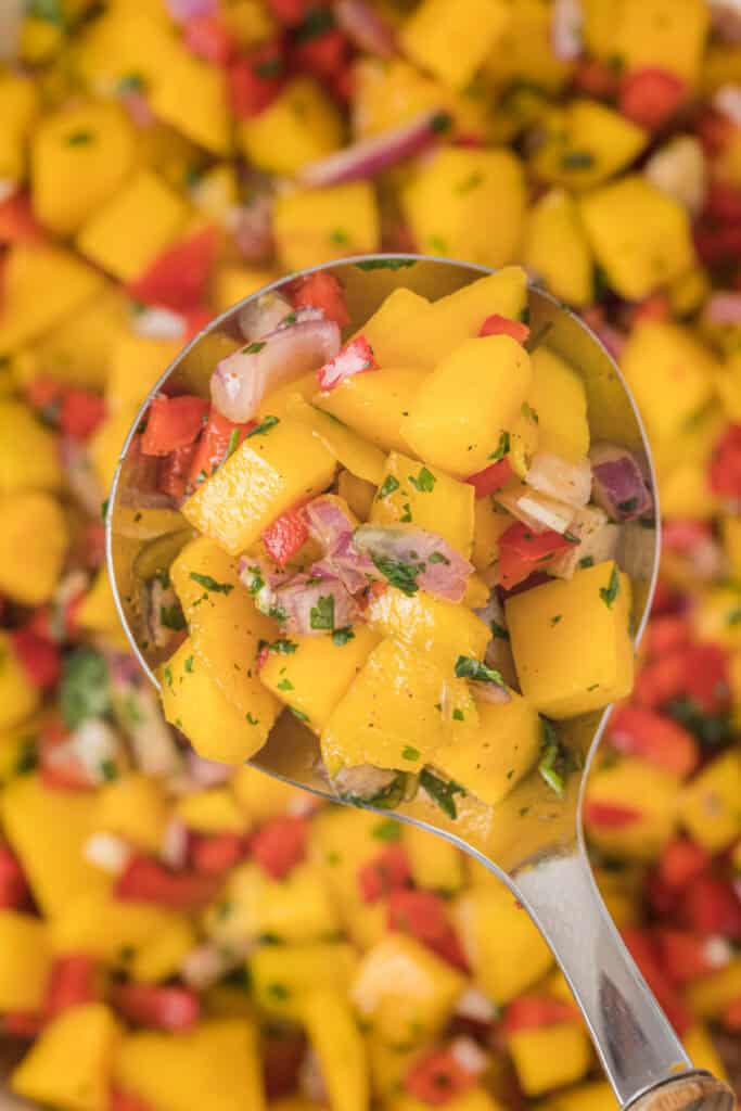 Close up of a spoonful of mango salsa showing diced mango, pepper, onion, and cilantro.