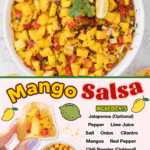 mango salsa faceboo collage 3
