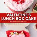 valentine's lunch box cake pin collage