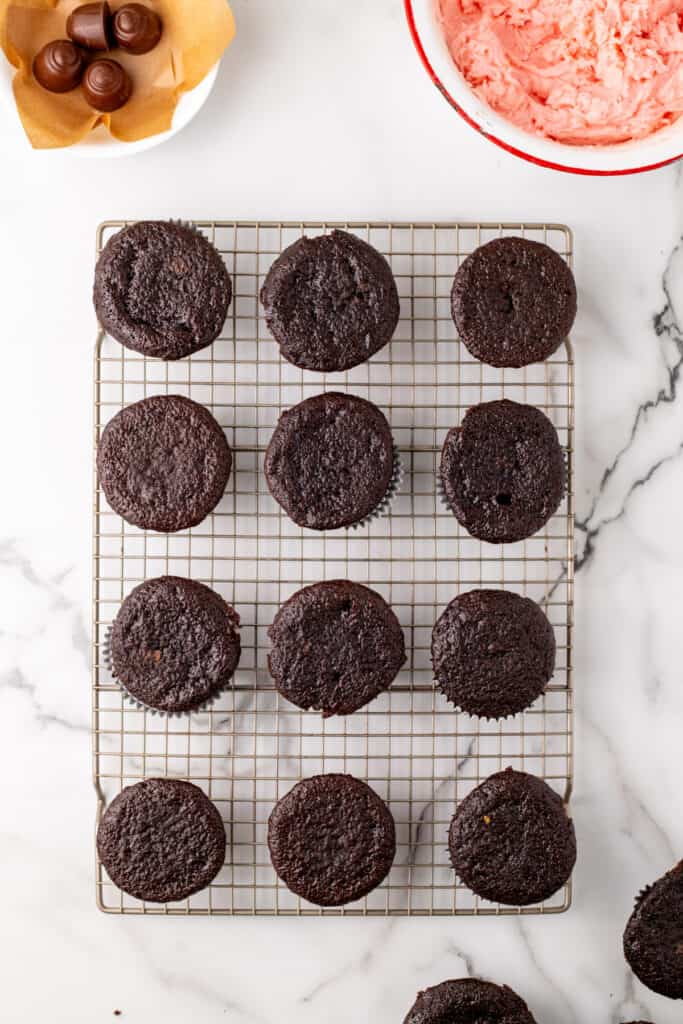 Overhead view of baked chocolate cupcakes cooling on a wire rack