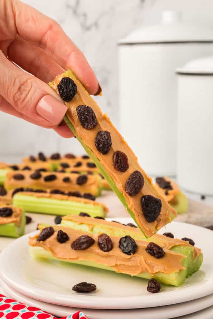 hand holding a celery stick topped with peanut butter and raisins over a plate of ants on a log