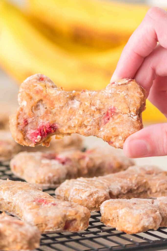 hand holding a baked strawberry banana dog treat shaped like a bone above a cooling rack
