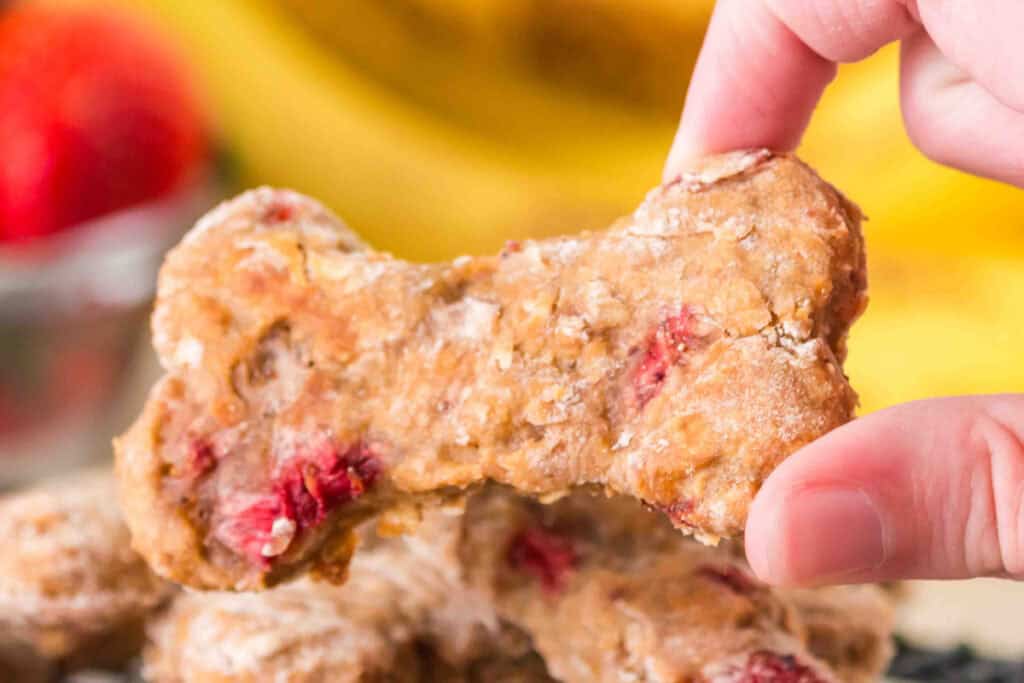 hand holding a strawberry banana dog treat bone with strawberries and bananas blurred in the background