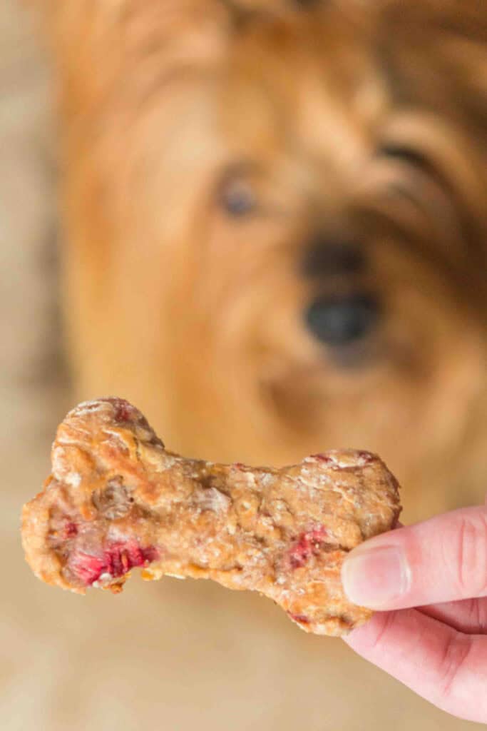hand holding a strawberry banana dog treat bone with a dog blurred in the background