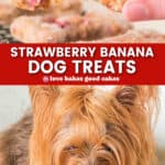 strawberry banana dog treats pin collage