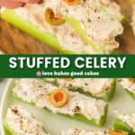 stuffed celery pin collage