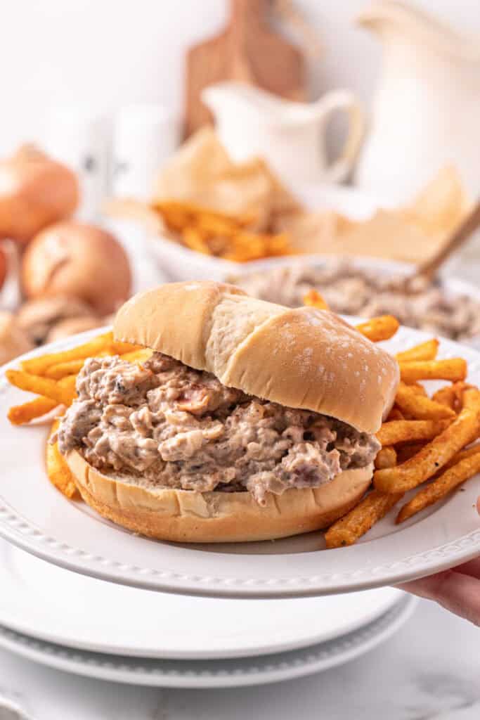 hamburger stroganoff sloppy joes on a bun with fries on a plate held by a hand