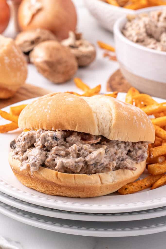 close-up of hamburger stroganoff sloppy joes on a bun with fries on a plate
