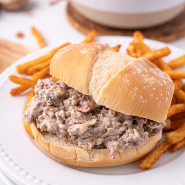 square image of hamburger stroganoff sloppy joes on a bun with fries on a white plate