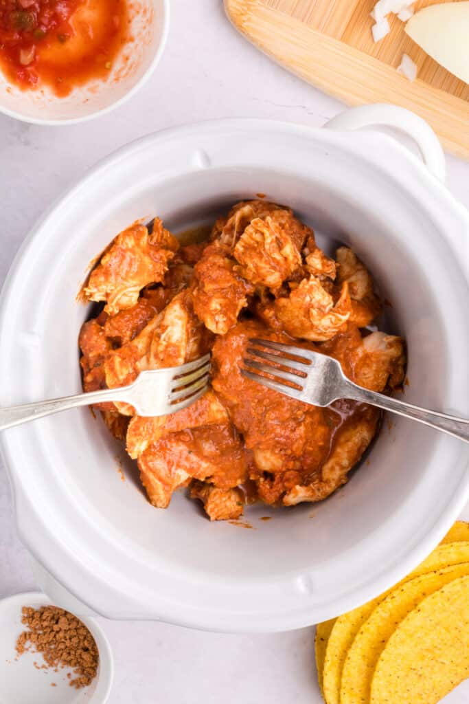 Forks shredding cooked chicken in the slow cooker for Crockpot Shredded Chicken Tacos