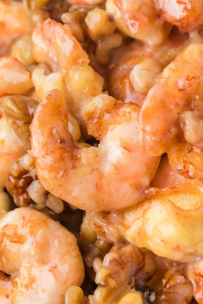 Close-up of Honey Walnut Shrimp over white rice with candied walnuts