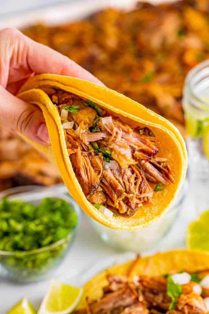 Hand holding Slow Cooker Carnitas taco with cilantro and onion